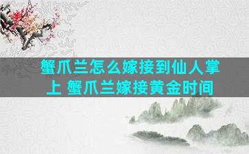 蟹爪兰怎么嫁接到仙人掌上 蟹爪兰嫁接黄金时间